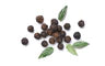 Pepper